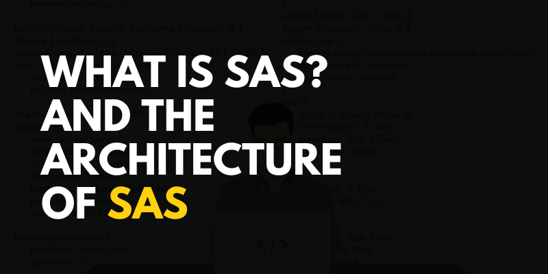 What is SAS? and the Architecture of SAS