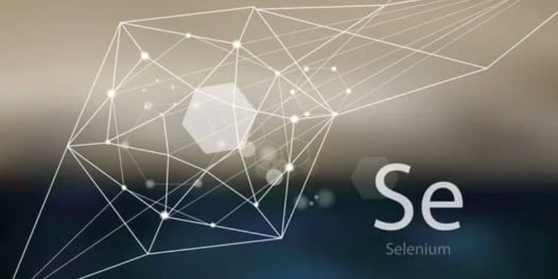 Selenium Training in Coimbatore